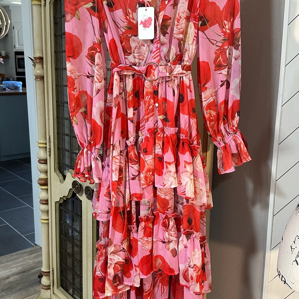 L'ATISTE Pink and Red Floral Dress Maxi